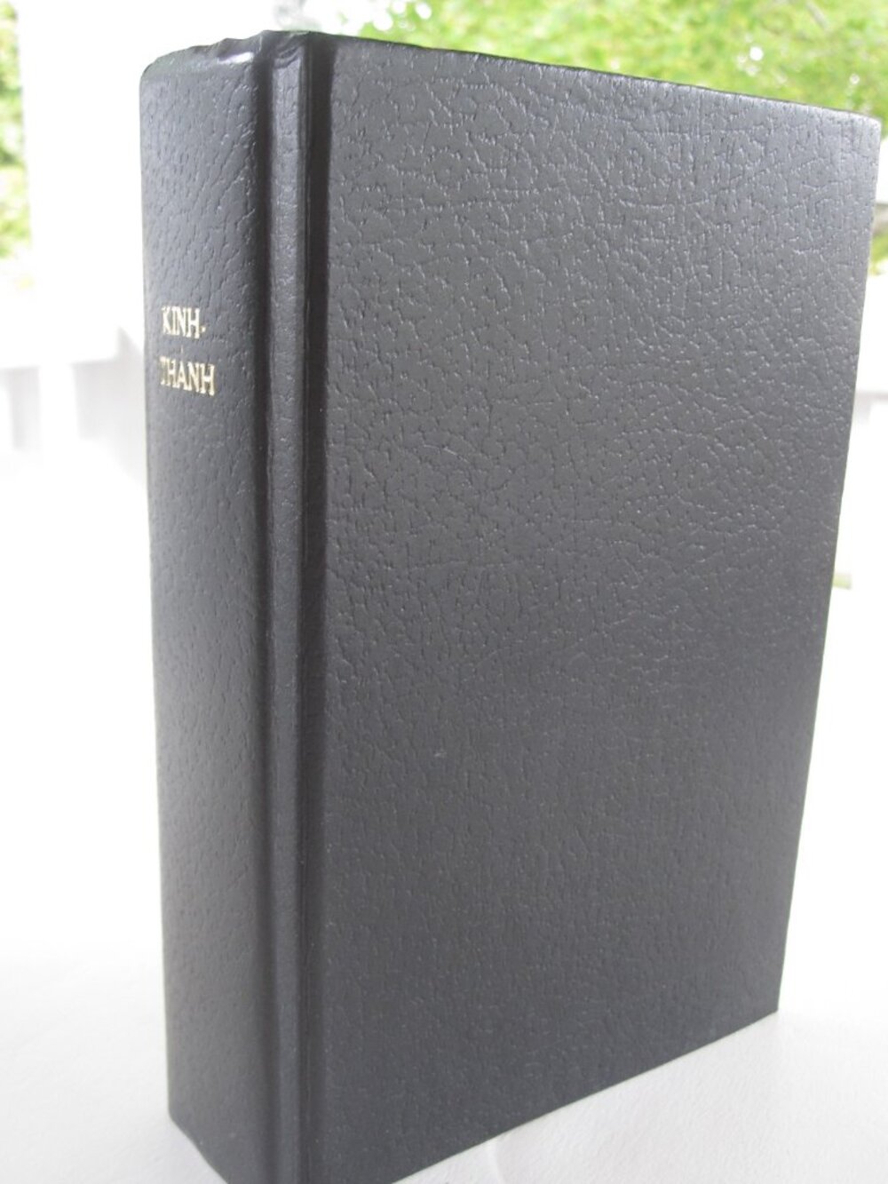 Holy Bible in Vietnamese Hardcover Black Excellent Condition